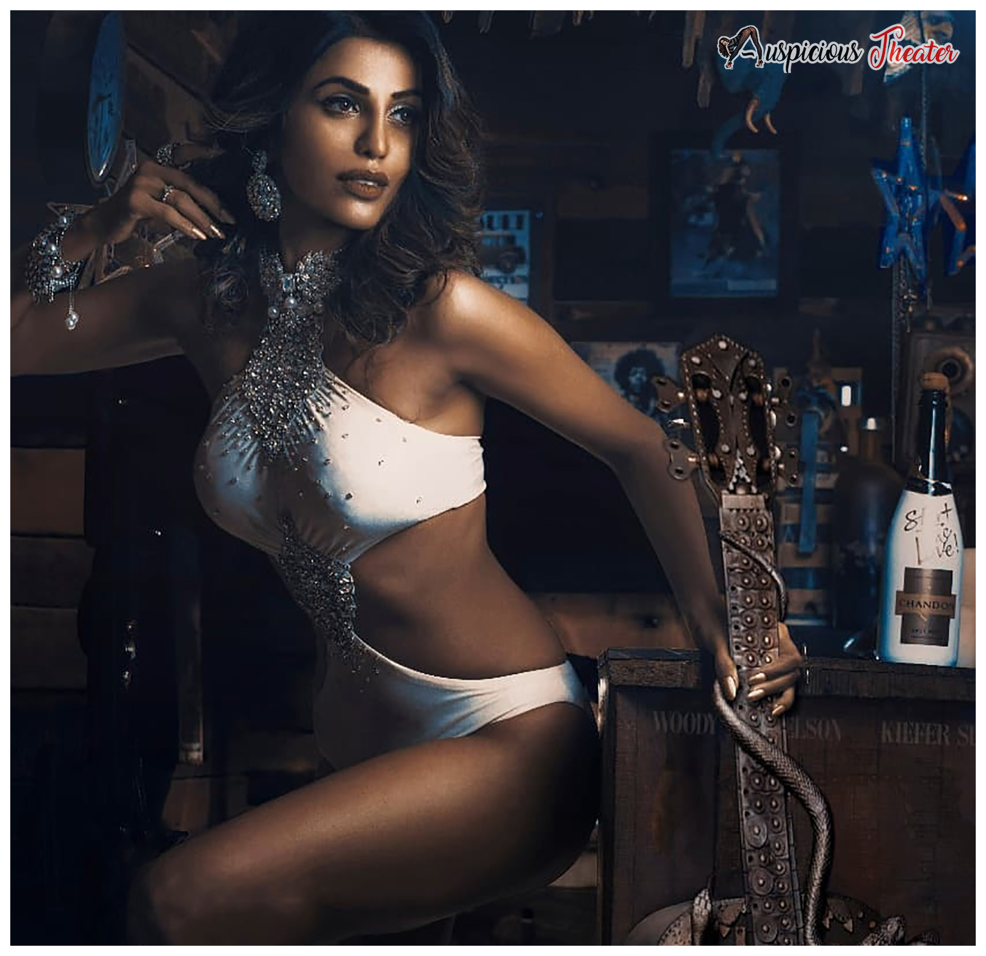 Natasha Suri - Miss India World - Virgin Bhanupriya - Indian Supermodels - Indian Bikini Models - Auspicious Theater